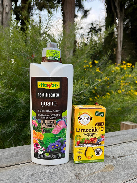 Cómo Proteger tu Limonero de las Plagas y Enfermedades Más Comunes