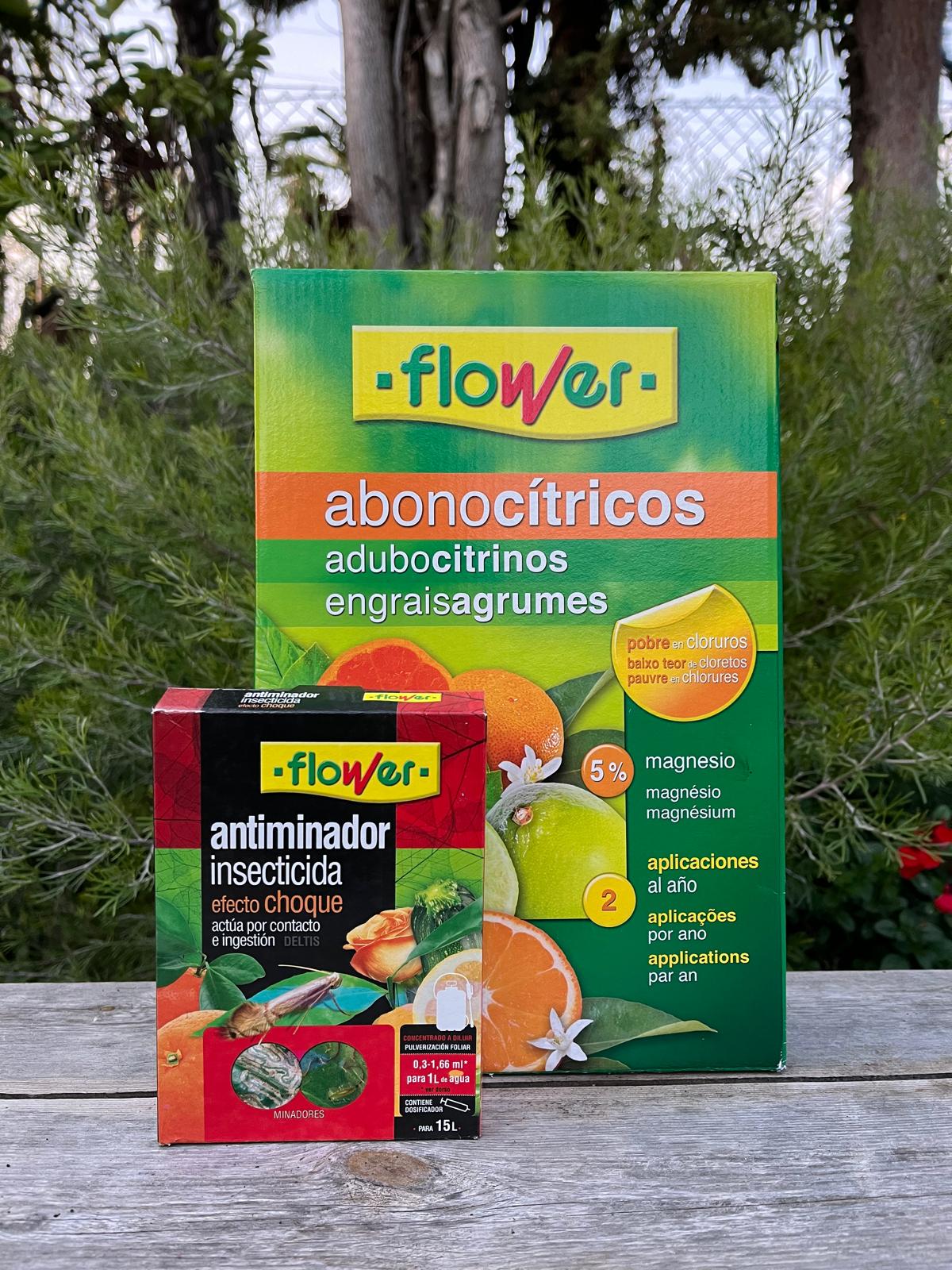 Limonero y cuidado tradicional