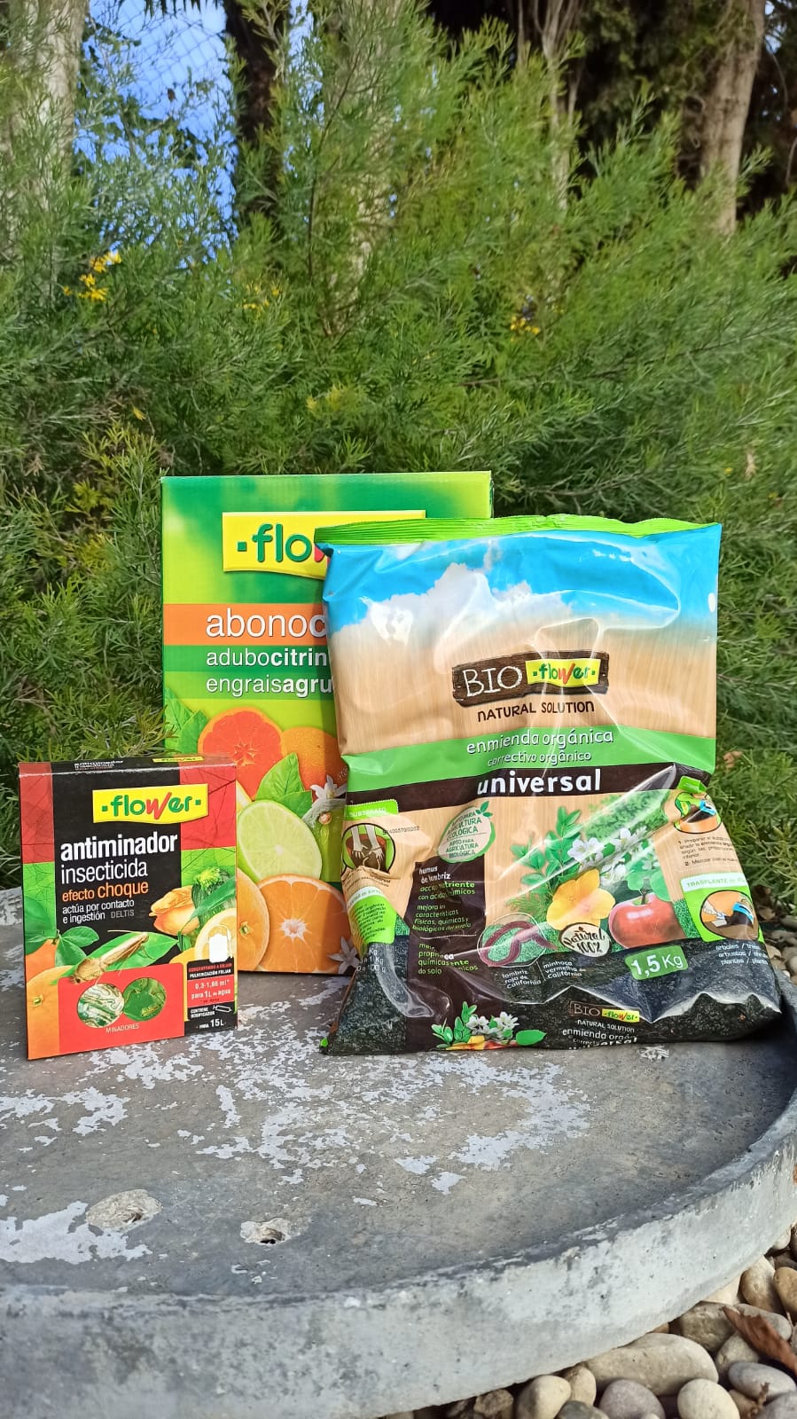 Pack Cuidado Tradicional para limoneros – fertilizante cítricos+insecticida