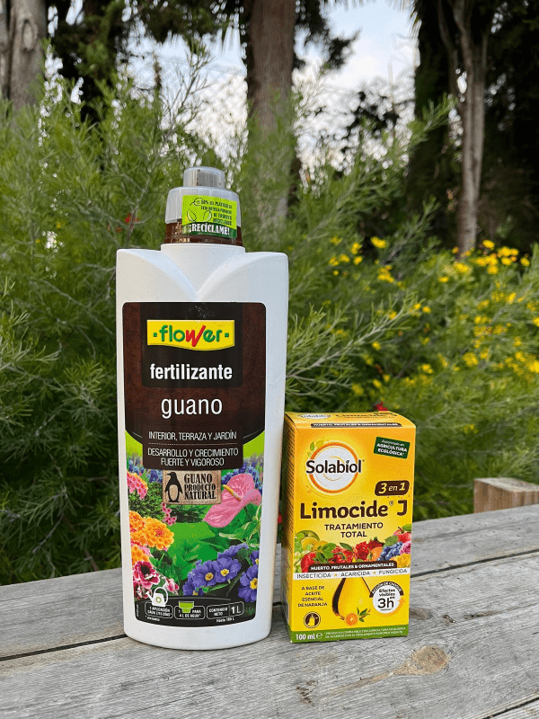 Limonero y cuidado ECO - Limoneros Online